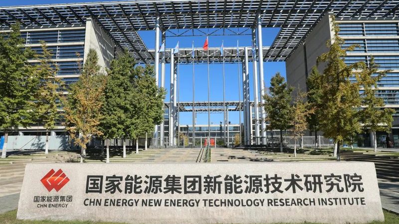 新能源公司性价比之选：如何慧眼识珠？**